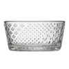 iittala 1066203 Tundra Bowl Dish, Approx. 8.8 fl oz (250