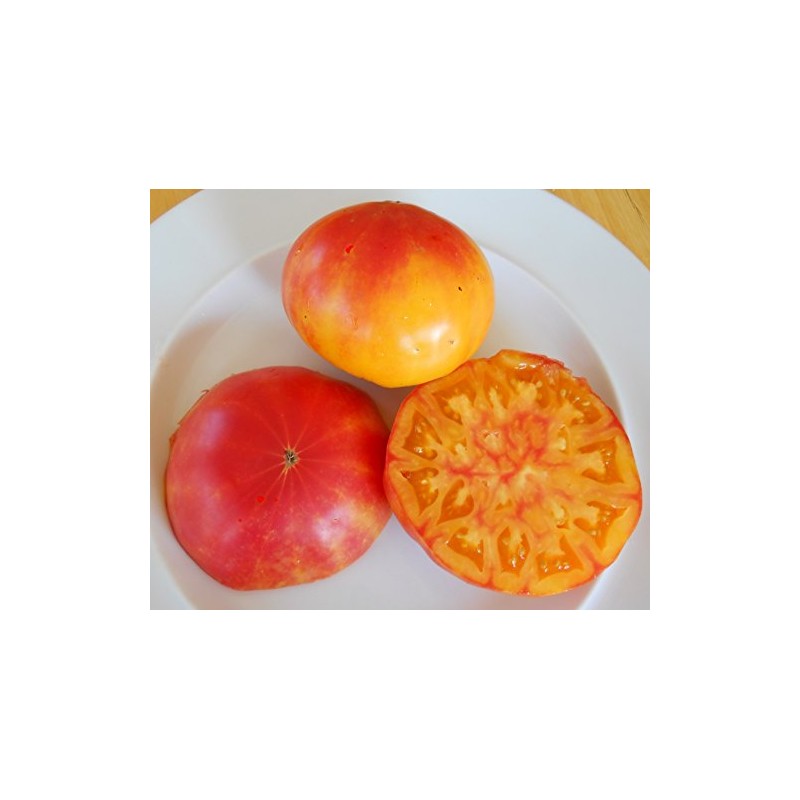 Pineapple Heirloom Tomato Seeds- 30+ Seeds