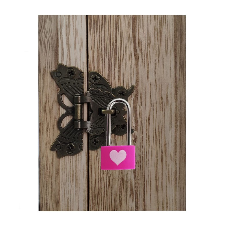 WANLIAN 2PCS Padlocks, 1.25 Inch Wide, 0.13 Inch Lock Bar