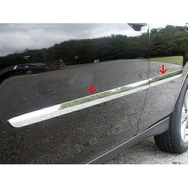 4pc Chrome 2 Side Molding Insert Trim fits RX350 2007-2009