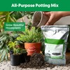 Succulent Cactus Potting Soil Mix (2 qt), All-Purpose Garden Potting