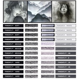 PANDAFLY Compressed Graphite Charcoal Sticks, 24 Pieces Black & White Vine Charcoal Sticks for Drawing, Sketching, Shading, Charcoal Drawing Set for Beginners & Pro Artists