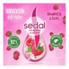 Shampoo Sedal Hidratación Anti Nudos 620 Ml