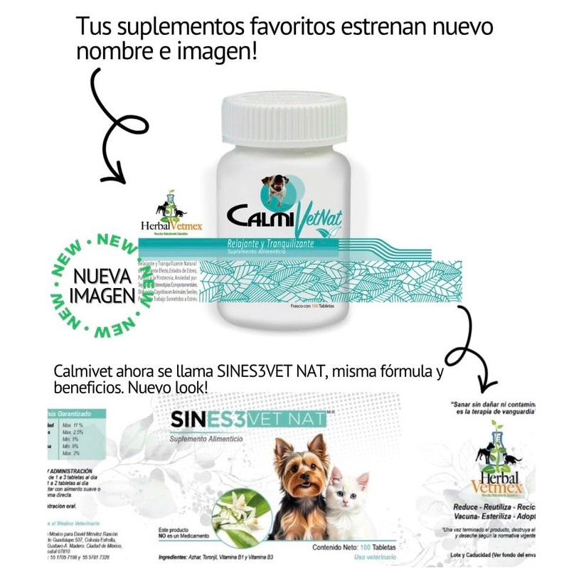 Calmivet: Brinda relajación a Tus Perros