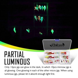 Dovesun Ice Fishing Jigs Kit, Ice Fishing Lures with Glide Tail Wings Treble Hooks Ice Fishing Gear Crappie Jigs Ice Fishing Kit 40PCS