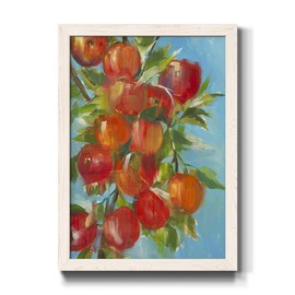 Renditions Gallery Wall Art, Home Décor, Abstract, Geometric, Cape Cod, Colonial, an Apple A Day- White Framed Canvas - 17X20