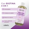 CELESTY | Shampoo sin Sulfatos y Parabenos - Shampoo De