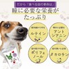 Pupil Support for Dogs and Cats (Revolution of Eating Eyes),