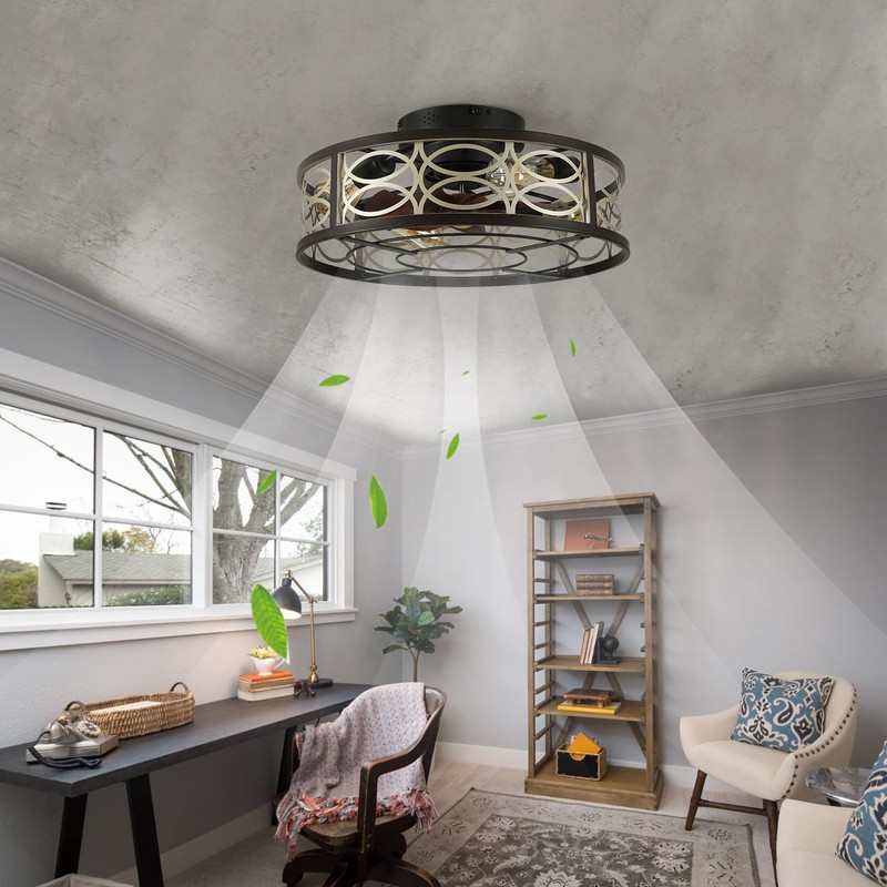 HUEOCZW 20" Caged Ceiling Fan with Light and Remote，bladeless Ceiling