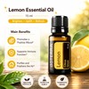 ( SHIP FAST ) doTERRAs Peppermint/Lavender/Lemon/Zengest/Ginger/Easy Air/Patchouli/Tea Tree/Frankincense/On Guard/Wild Orange