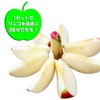 Kai Corporation DH7191 Kai House Select Apple Cutter