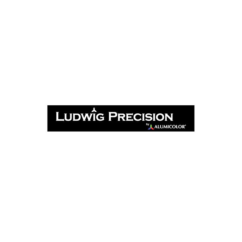 Ludwig Precision Non-Slip Backed Aluminum Straight Edge Ruler, 12-INCH, Silver