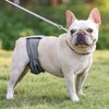 Male Dog Belly Wrap Leakproof Strong Water Absorption Breathable Comfortable