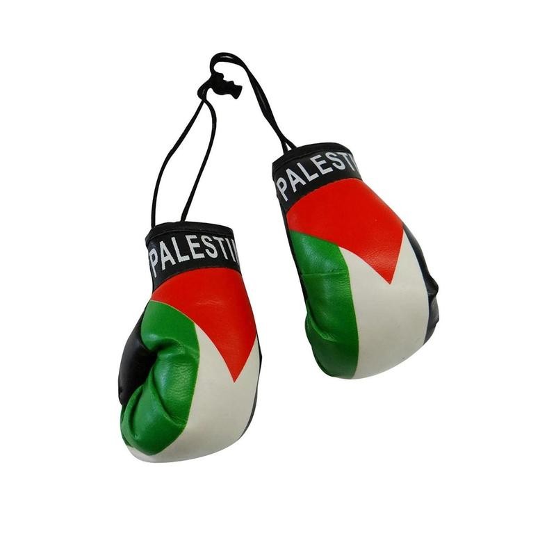 Country Flag Mini Boxing Gloves For Hanging - Country: Ireland