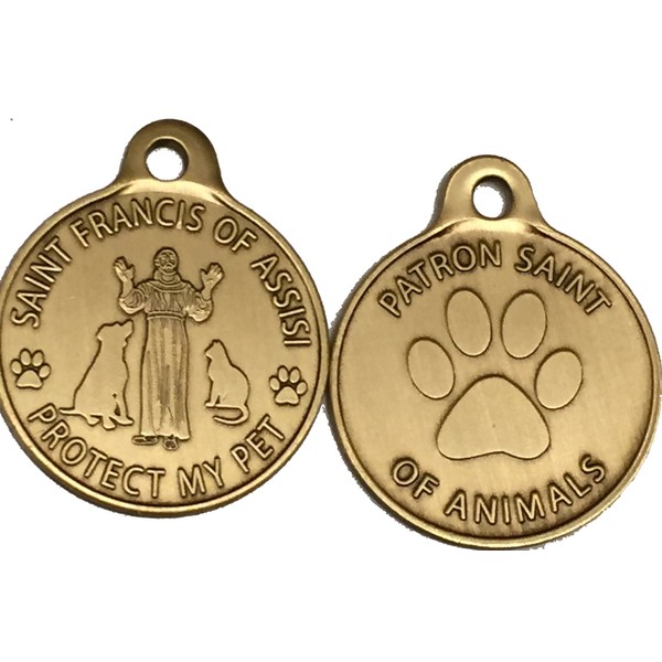 RecoveryChip Saint Francis of Assisi Patron Saint of Pets/Protect My