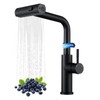 Kitchen Faucet with Pull Down Sprayer, Waterfall Single Hole Single