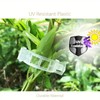 SANHIGHEND Plastic Plant Clips, Make Your Plants Tidy and Beautiful