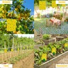 30 Pack Yellow Sticky Traps Fruit Fly Trap, Double-Sided Fungus