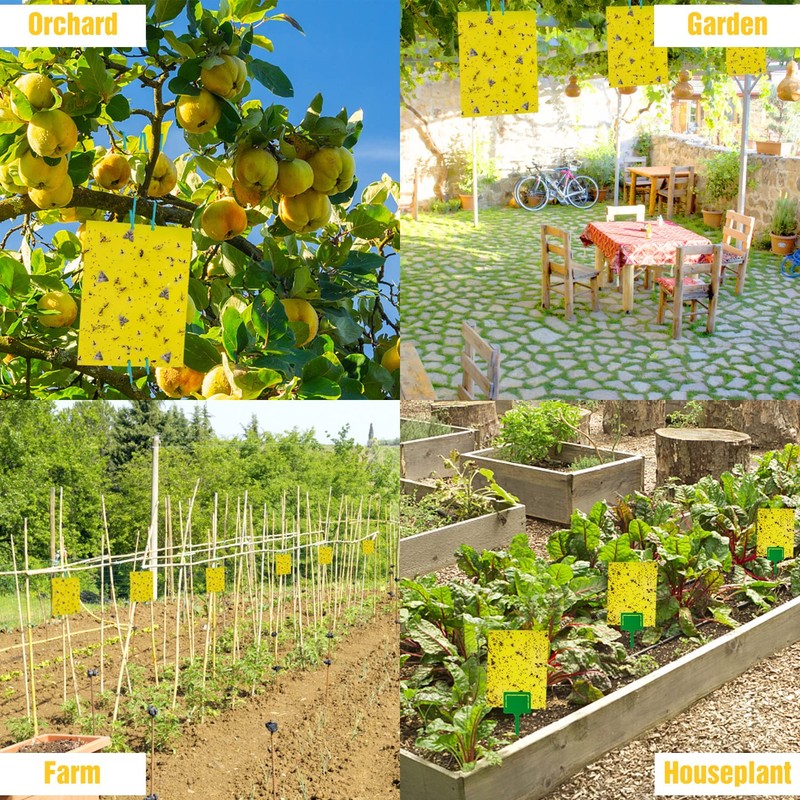 30 Pack Yellow Sticky Traps Fruit Fly Trap, Double-Sided Fungus