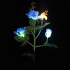 Outdoor Solar Powered LED Light Rose Flower Simulation Bee Lamp