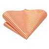 Hi-Tie Light Orange Striped Tie Sets Wedding Silk Necktie Pocket