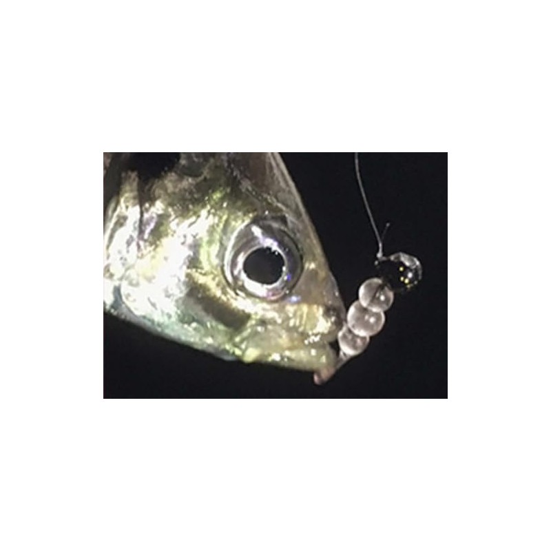DAIWA Reel Case, Tsukiza Bijin, SW Light Jig Head SS