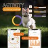 Weenect Weenect Cat XS - NEW GPS Tracker for Cats