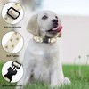 Yellow Bee Honeycomb Pet Collars Dog Collars Soft Elastic Neck