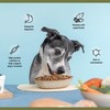 BADLANDS RANCH - Superfood Complete, Adult Dog Food, Air-Dried, High