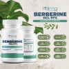 Berberina Hcl 100 Cápsulas Naíma Soporte Metabólico Digestivo Gluten