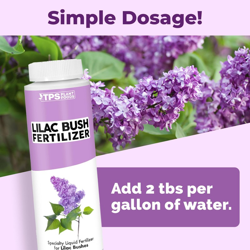 Lilac Fertilizer, Complete Liquid Lilac Bush Plant Food, 8 oz