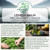 Lemon Balm Melissa Officinalis Loose Leaf Herbal Tea – Stress