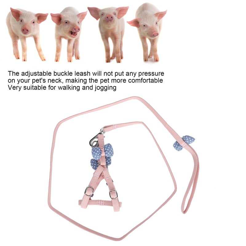 Pet Pig Vest Harness with Leash Set EscapeProof Walking Harness