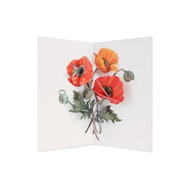UWP Luxe Hiromi Takeda Poppies Pop-Up Greeting Card with Envelope- For Anyone, Congrats, Thank You, Just Because, All Ocassion, Thinking of You, Valentine's Day, Mother's Day (Blank)