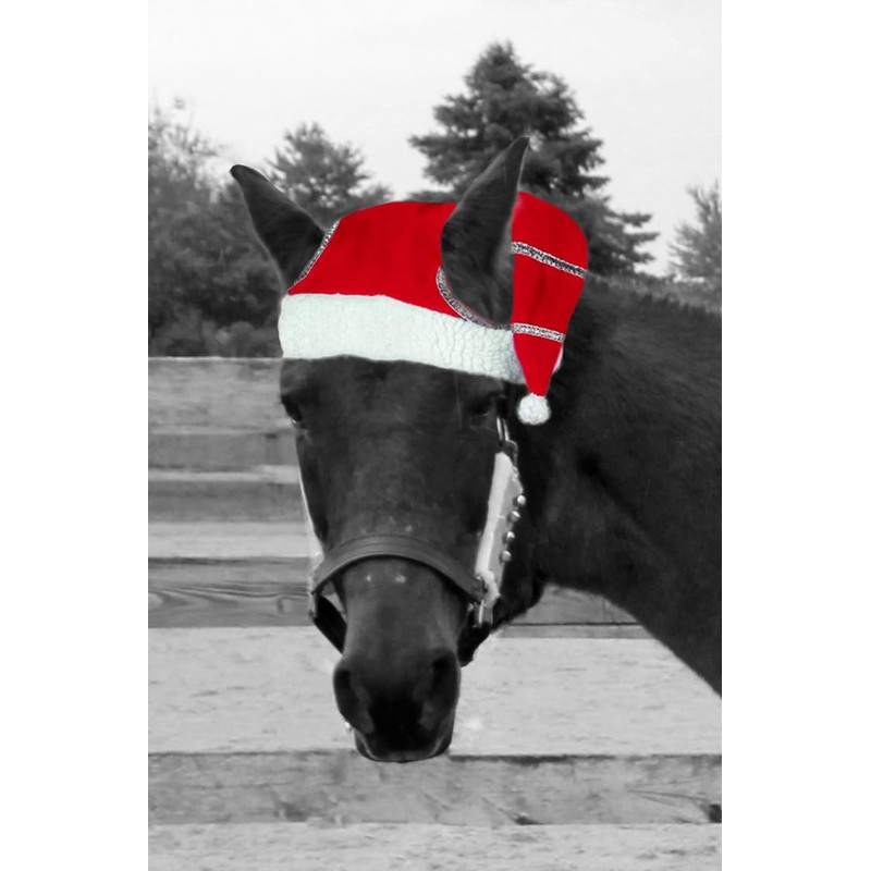 Santa Christmas Horse Hat