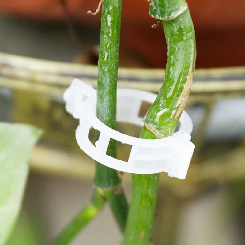 100Pcs White Plastic Trellis Clips Plant Support Clips,Tomato Clip,Cages Plants