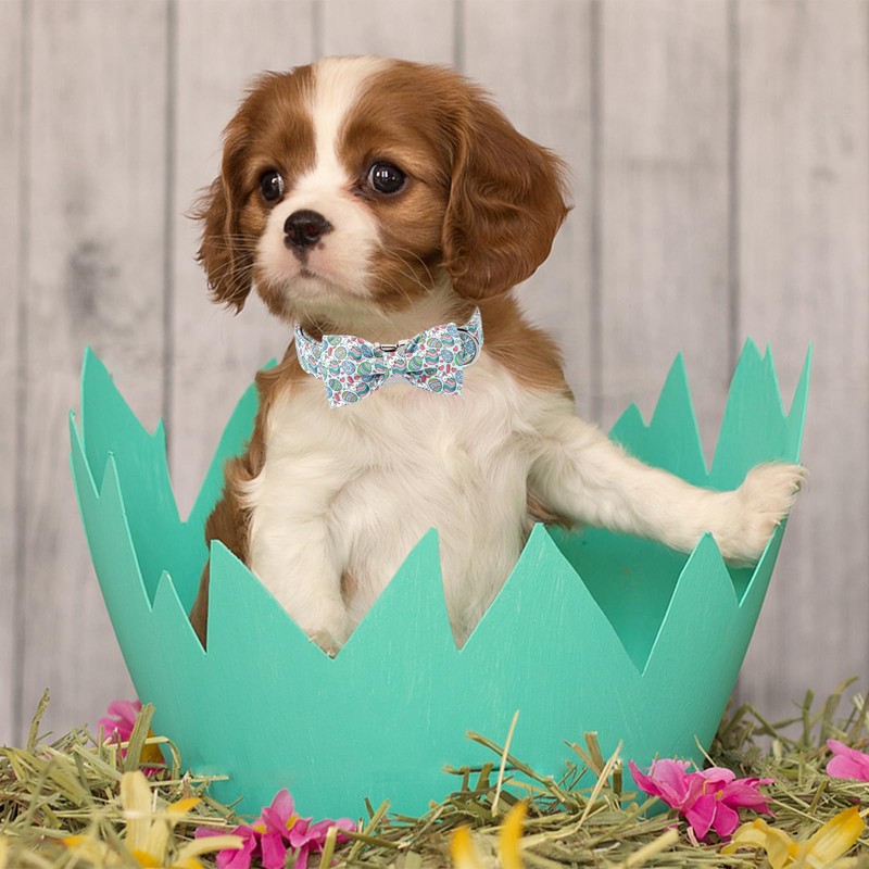Babole Pet Easter Dog Collar with Bowtie, Easter Eggs Bowtie