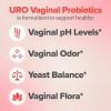 Uro Suplemento Probióticos Cápsula Caja Piezas Vitamina Nutricional Sabor Carnitina