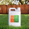 Simple Lawn Solutions - High Potassium Lawn Food Liquid Fertilizer