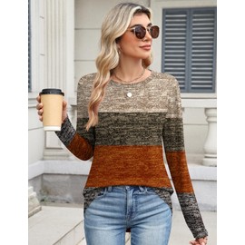 TCOT Long Sleeve Tops for Women Fall Crew Neck Stretchy Classic Fit Tunic Casual Blouse Shirts Multiple Color M