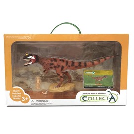 Collecta prehistory: Ceratosaurus Deluxe Window Box 27 cm brown