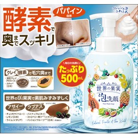 World Fruit Cleansing Foam Facial Cleansing Face Cleansing Pores No Additive Large Capacity Papain Enzyme Lava Clay Kakucha Cleanses Pores Deep In Pores Blended Beauty Ingredients Derived From Fruits