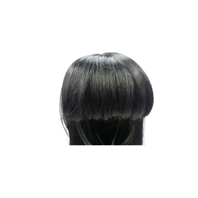 J-Cube Black Hair Wig Long Straight Bangs