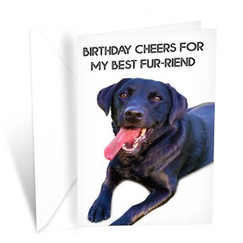 Prime Greetings - Tarjeta de cumpleaños divertida para perro con Labrador Retriever, hecha en Estados Unidos, respetuosa con el medio ambiente, con sobre de alta calidad, 5 x 7.8 pulgadas, empaquetado en sobres protectores