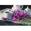 Fireweeds Herb (Epilobium Angustifolium L. - Epilobium Angustifolium Herba) Health