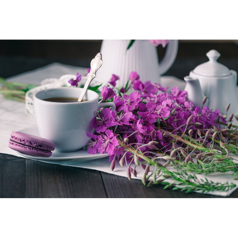 Fireweeds Herb (Epilobium Angustifolium L. - Epilobium Angustifolium Herba) Health