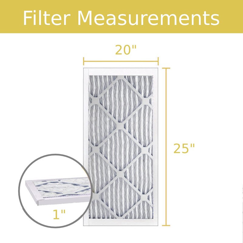 Lamons 20"x25"x1" Xtreme Plus Air Guard MERV 8 Filter (4