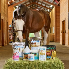 SMARTPAK Uckele Equi Treats Bite Sized Pellets | Horse Treats with No Sugar Added & High Fiber Treats for Horses | Suitable Reward for Training | Watermelon-Basil Flavor, 4 lb