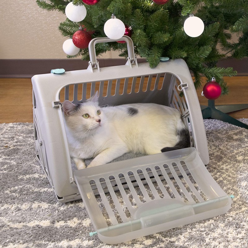 SportPet Designs Foldable Travel Cat Carrier - Front Door Plastic