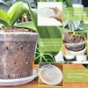 Clear Flower Pots with Holes and Saucers for Tropical Plants